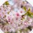 Huseyin_arslan
